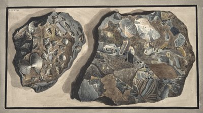 Piece of marble composed of fragments of various sorts of marble found in the Fossa Grande, Plate 47: from 